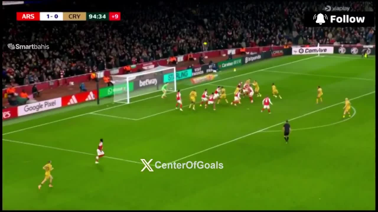 zaslepka skrotu video