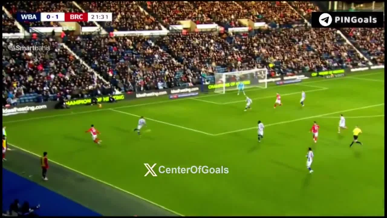 zaslepka skrotu video