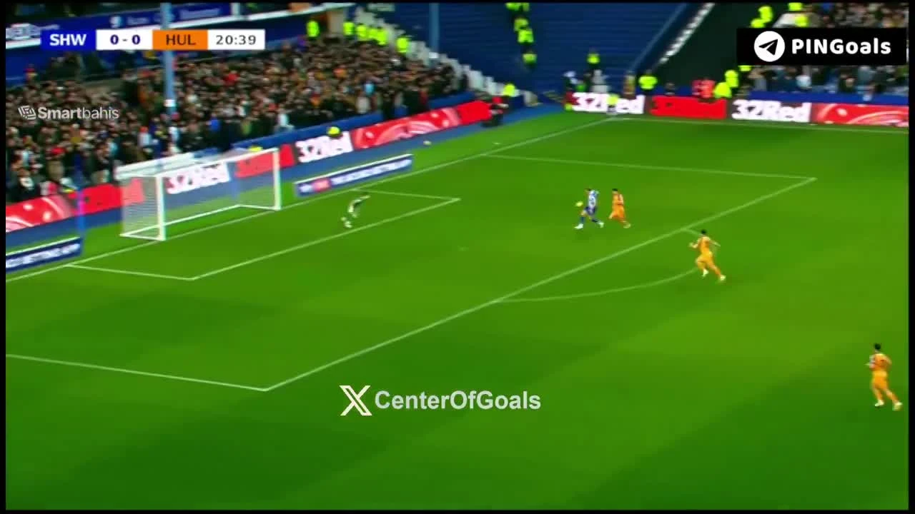 zaslepka skrotu video