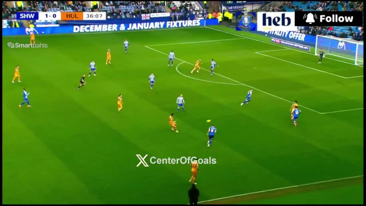 zaslepka skrotu video