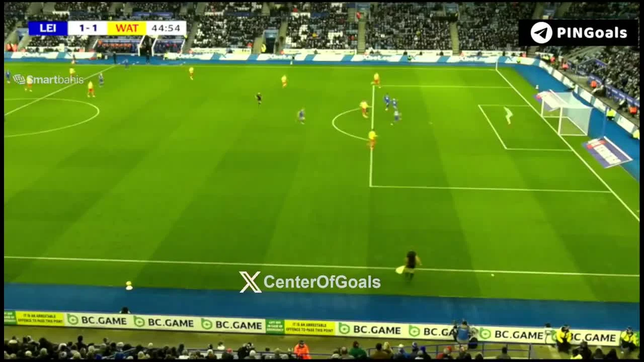 zaslepka skrotu video