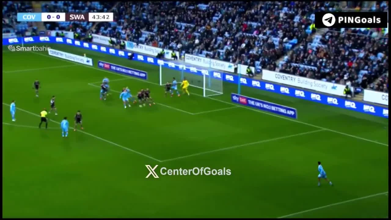 zaslepka skrotu video