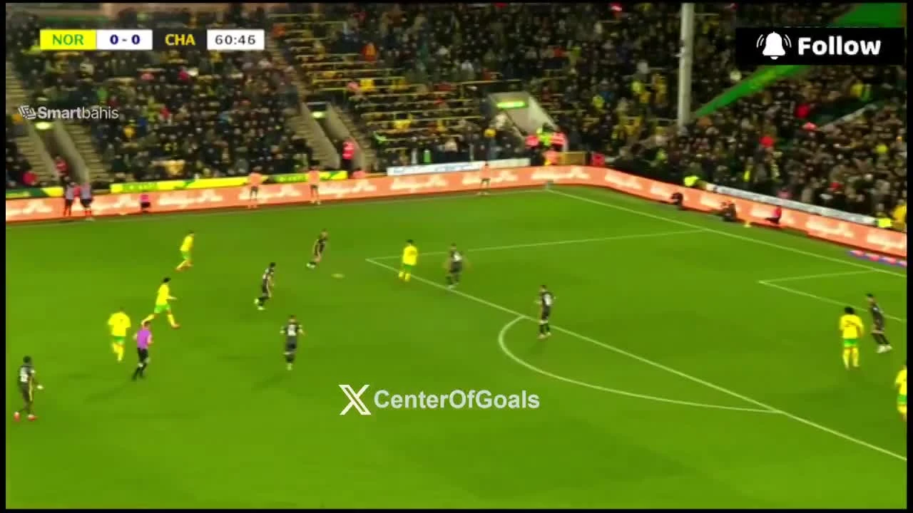 zaslepka skrotu video