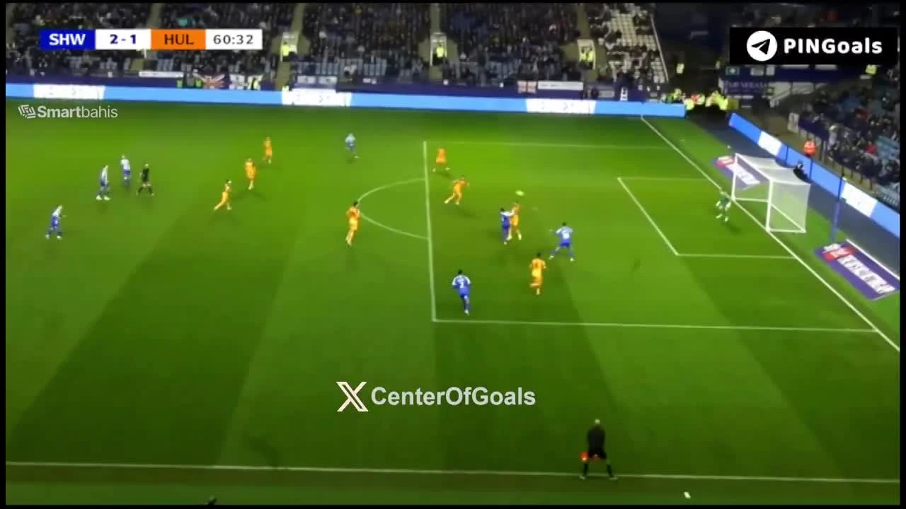 zaslepka skrotu video