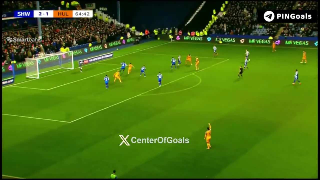 zaslepka skrotu video