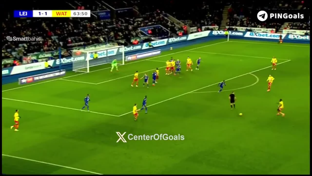 zaslepka skrotu video