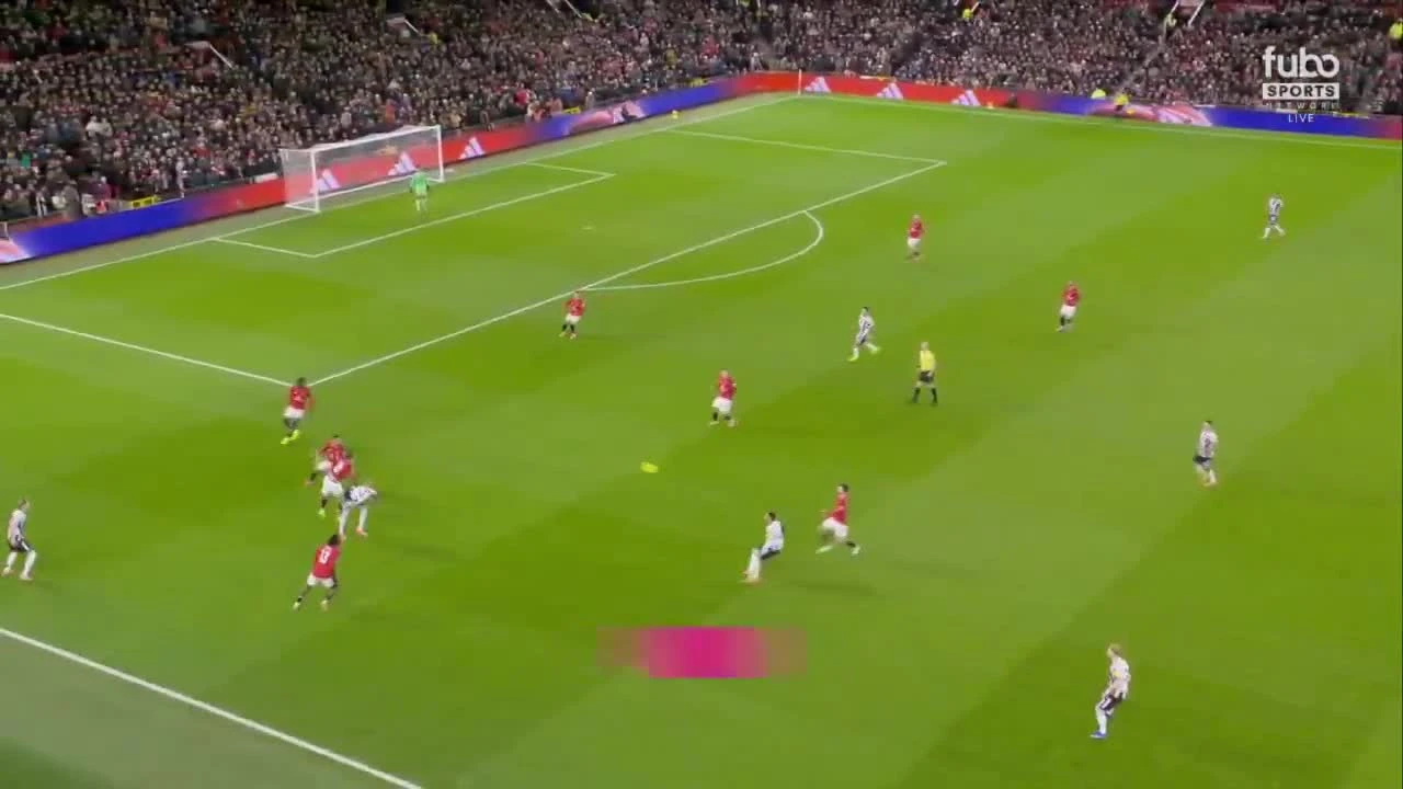 zaslepka skrotu video