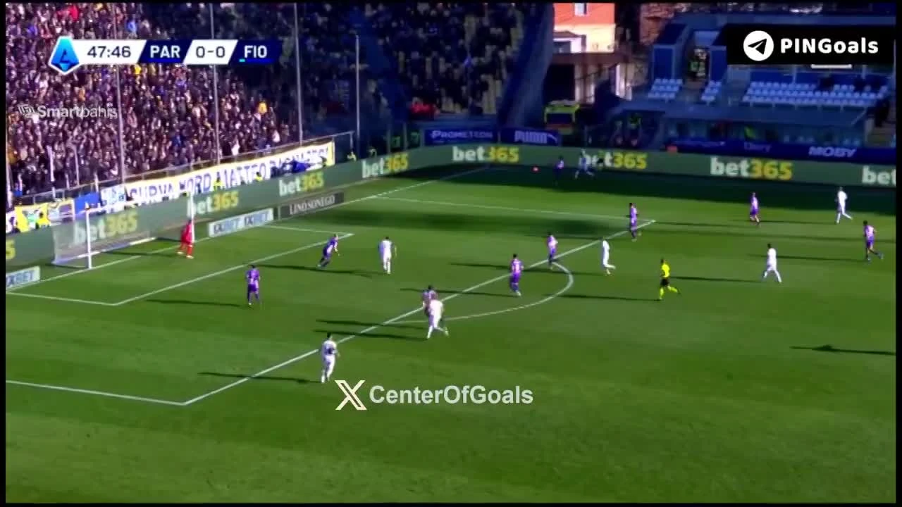 zaslepka skrotu video