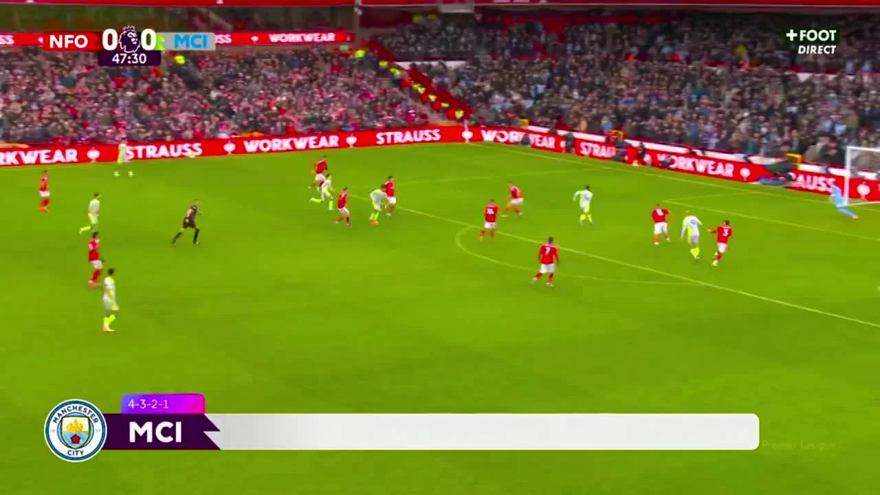 zaslepka skrotu video