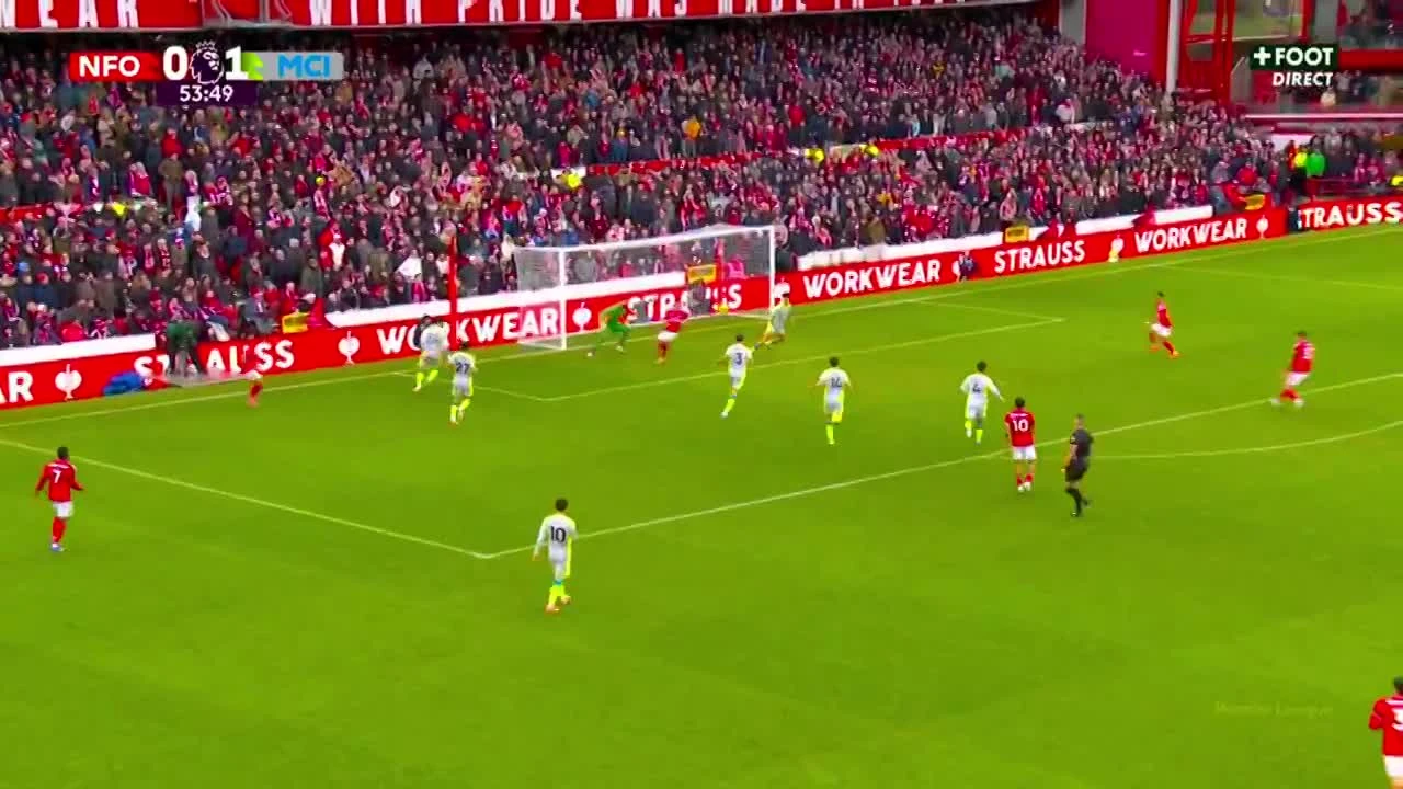 zaslepka skrotu video