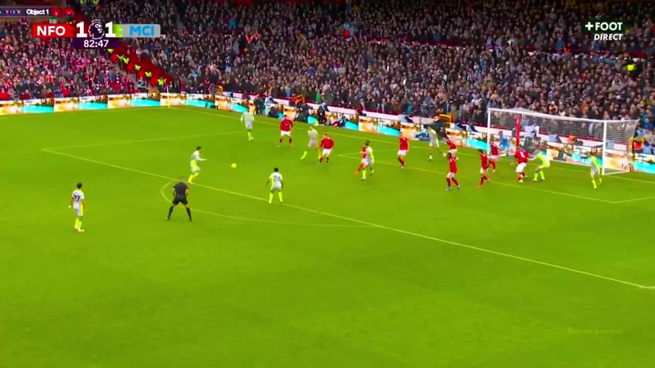 zaslepka skrotu video