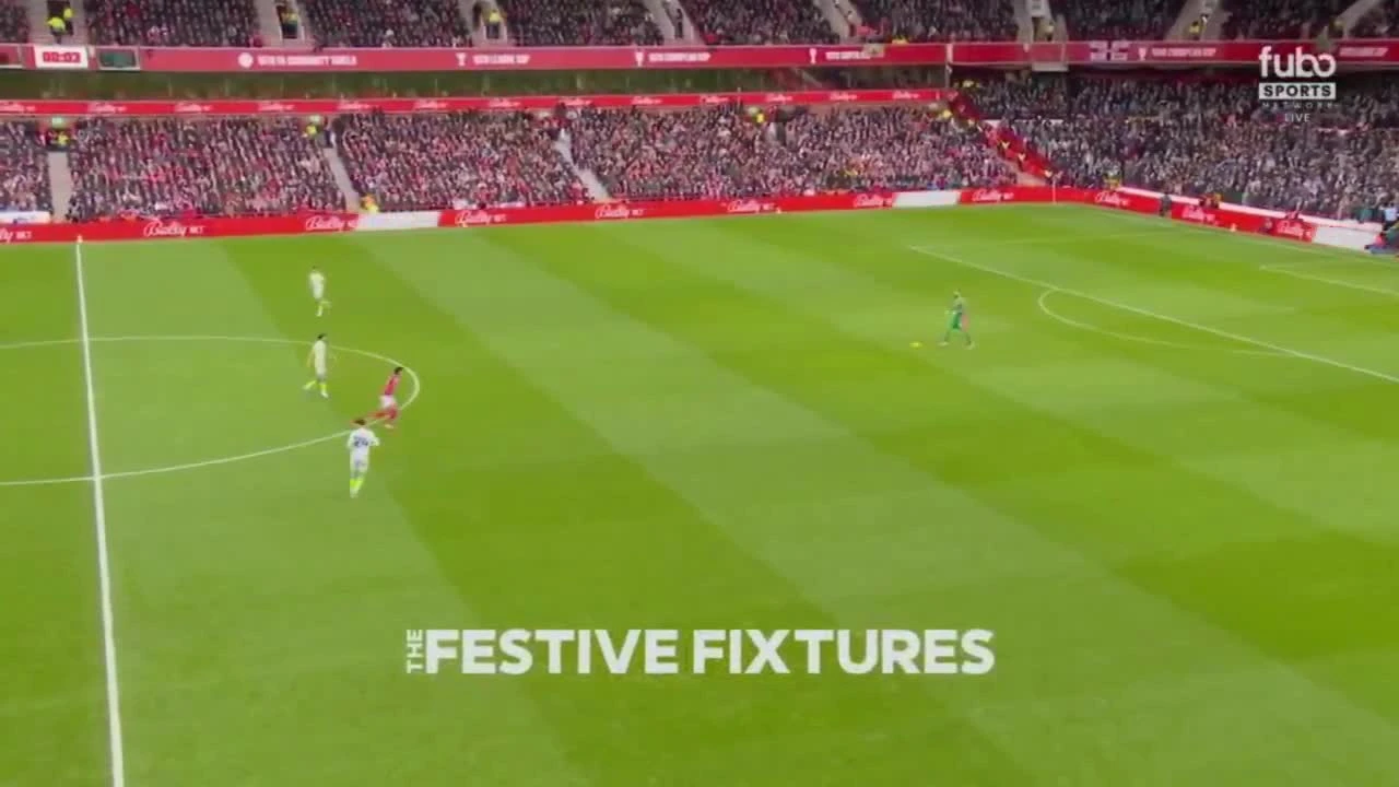 zaslepka skrotu video