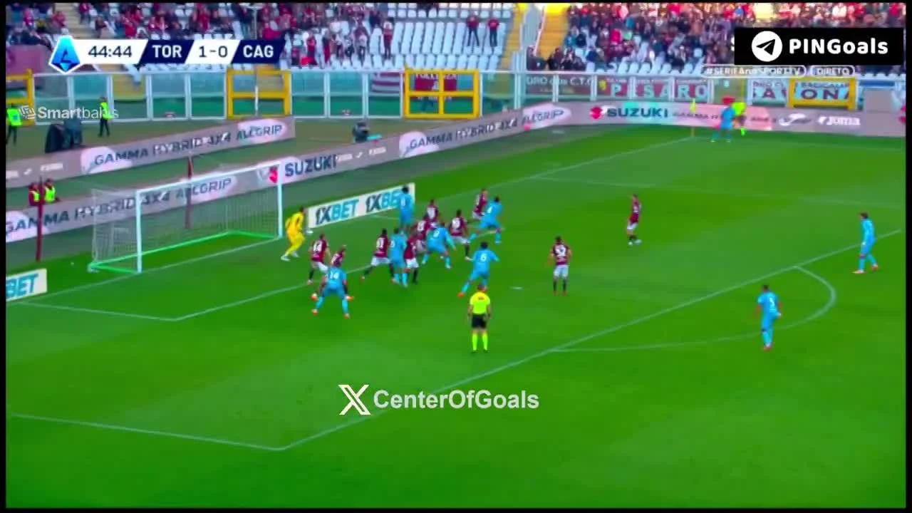 zaslepka skrotu video