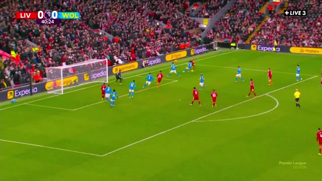 zaslepka skrotu video