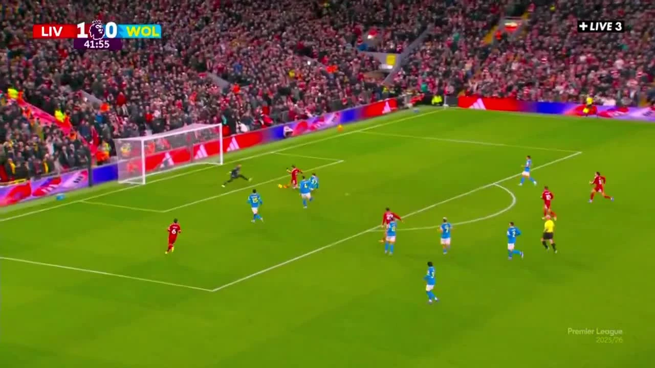 zaslepka skrotu video