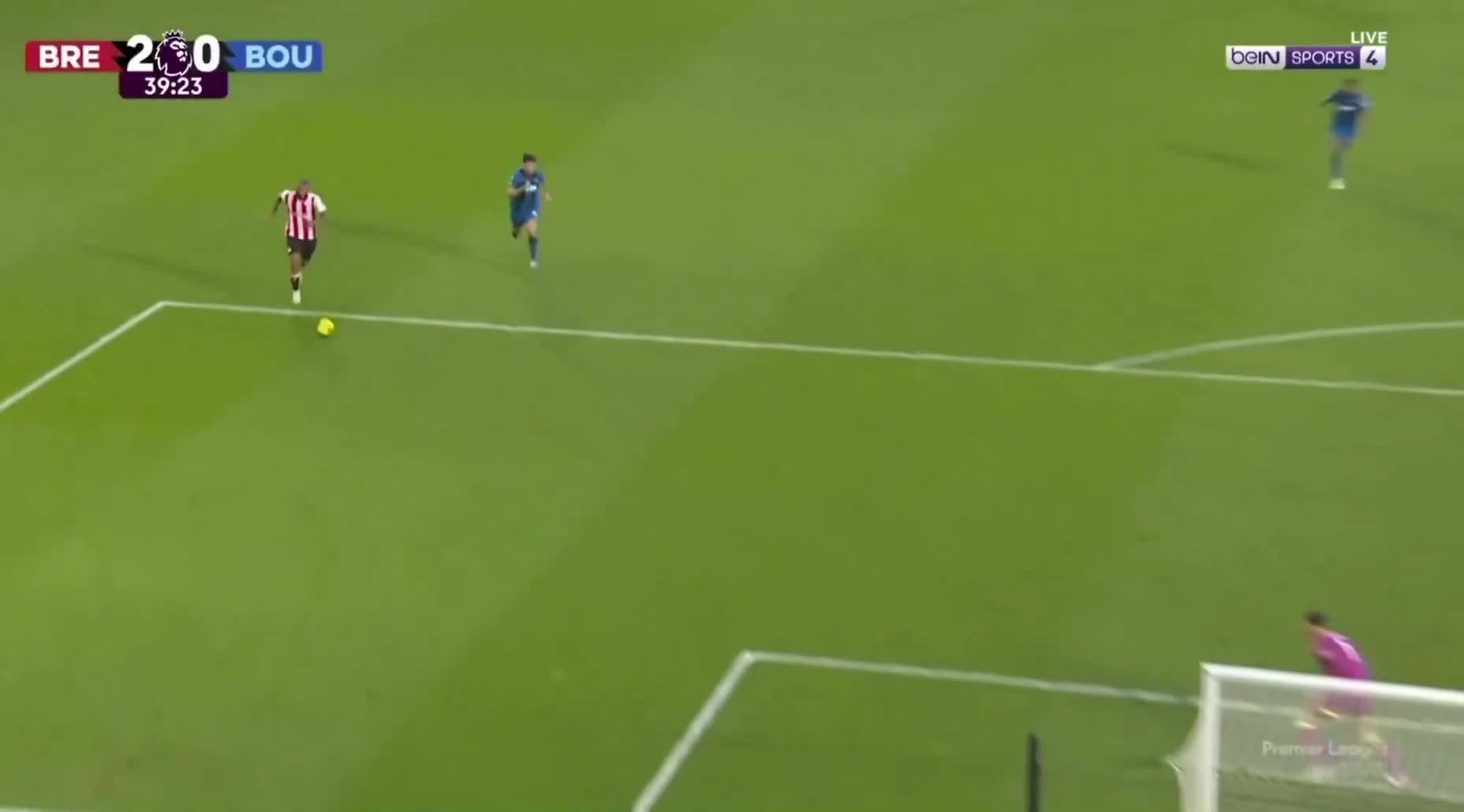 zaslepka skrotu video