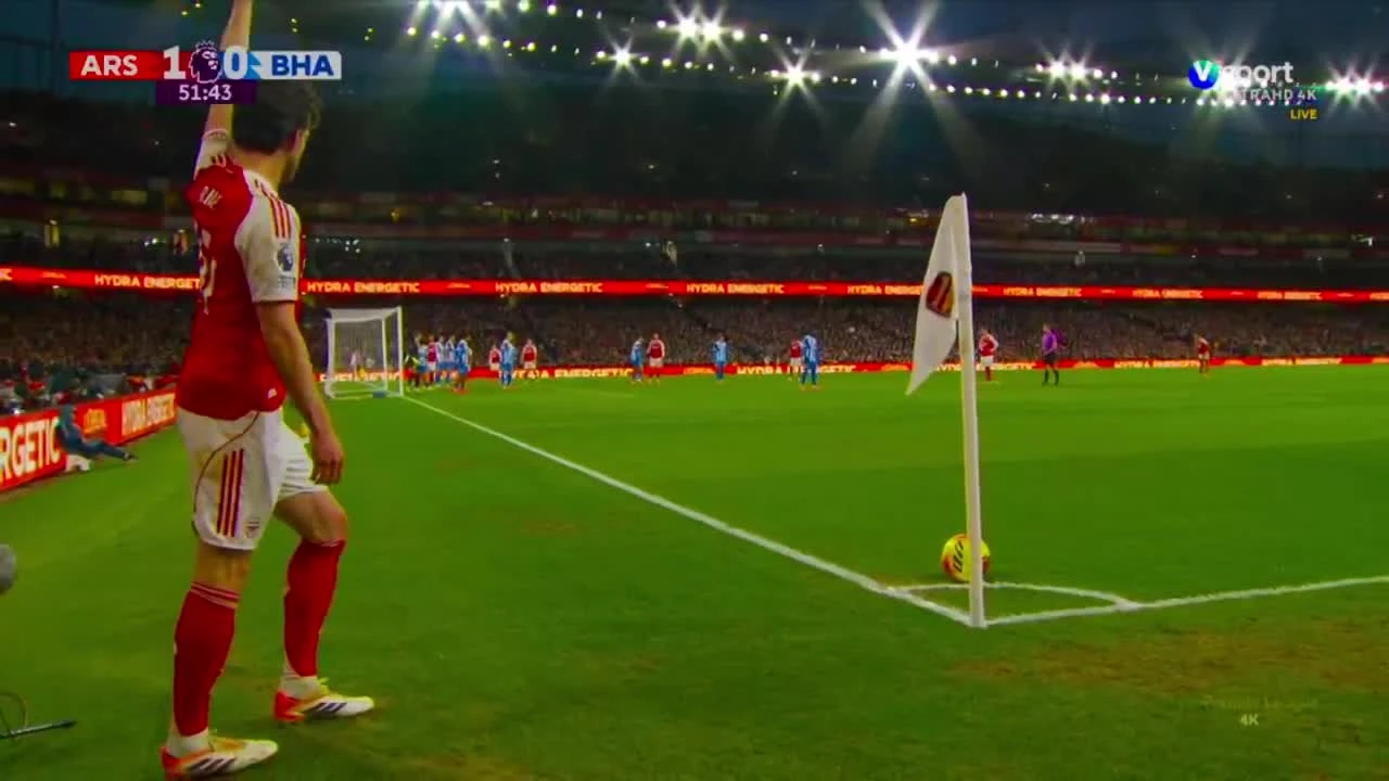 zaslepka skrotu video