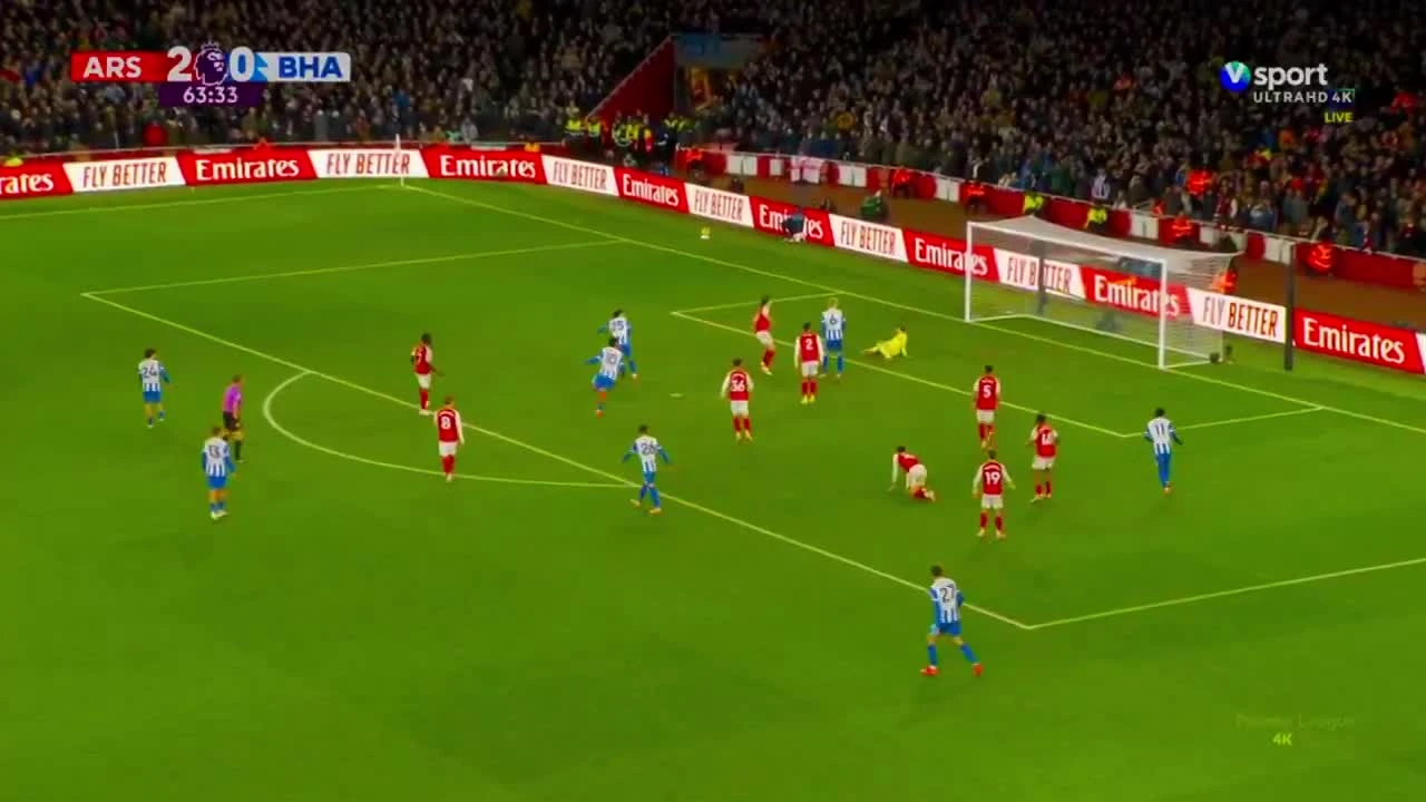 zaslepka skrotu video