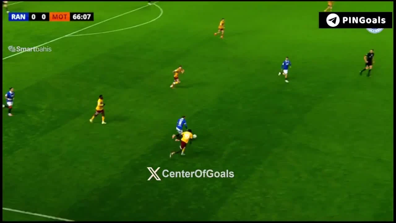 zaslepka skrotu video