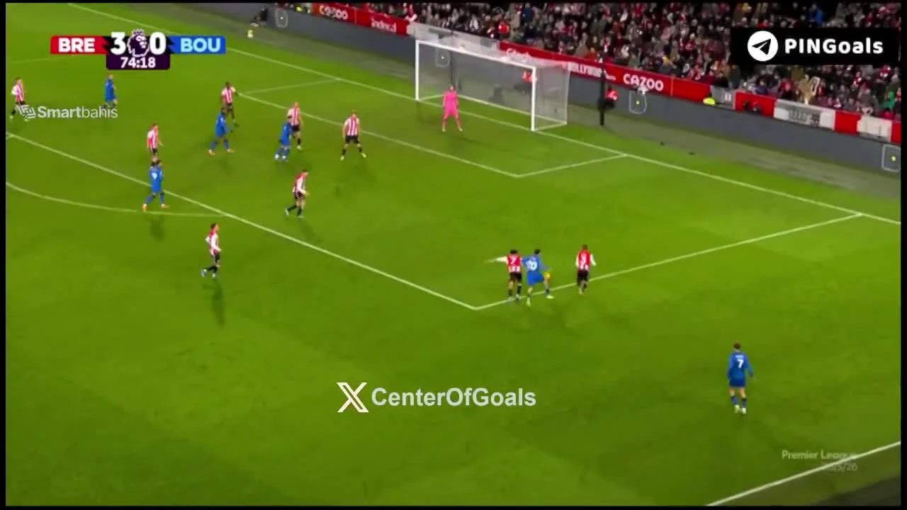 zaslepka skrotu video