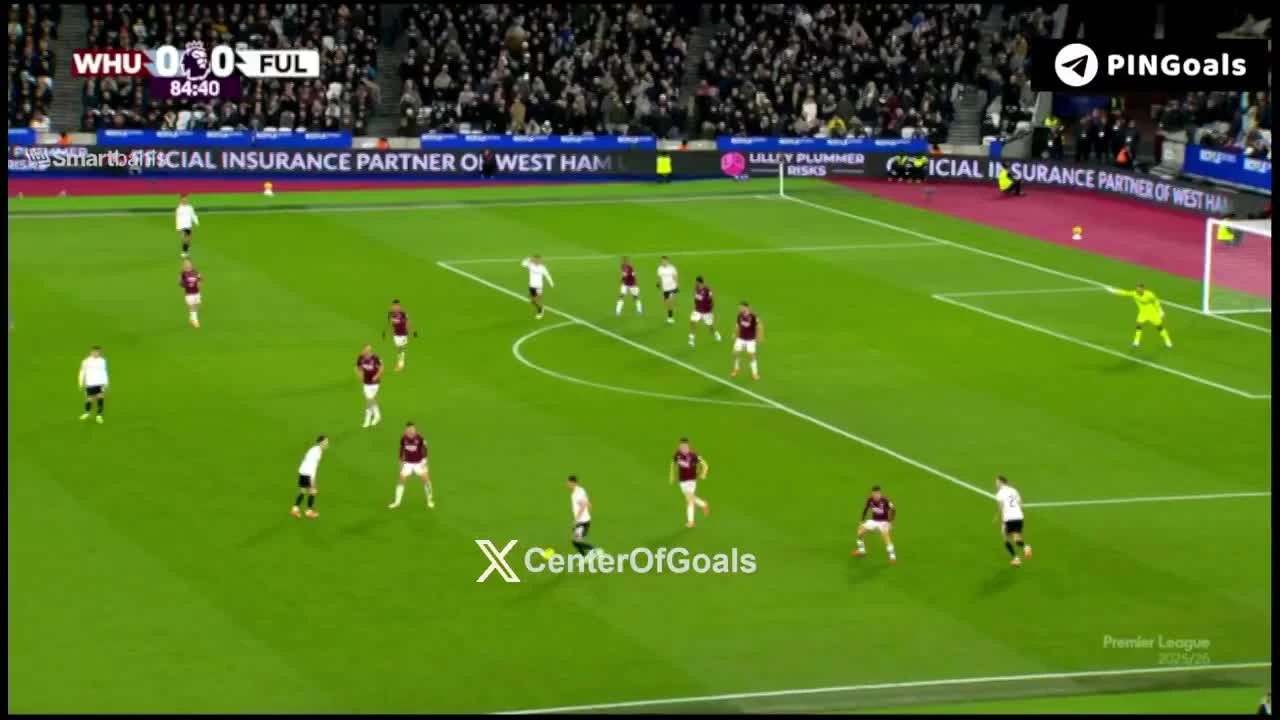 zaslepka skrotu video