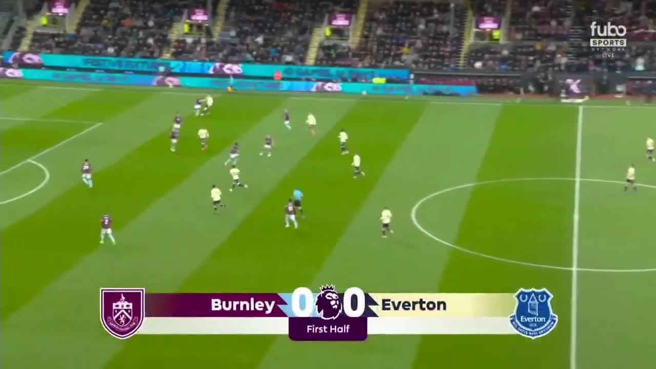 zaslepka skrotu video