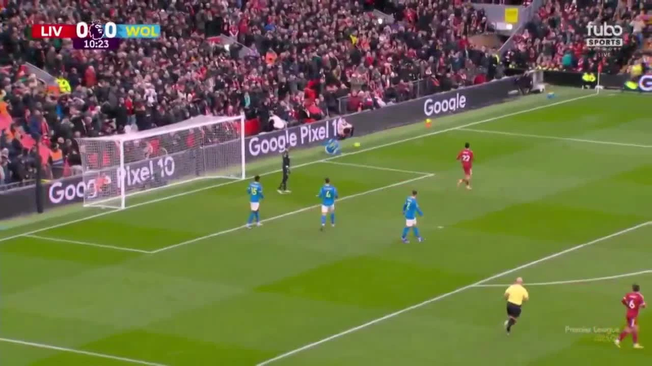 zaslepka skrotu video