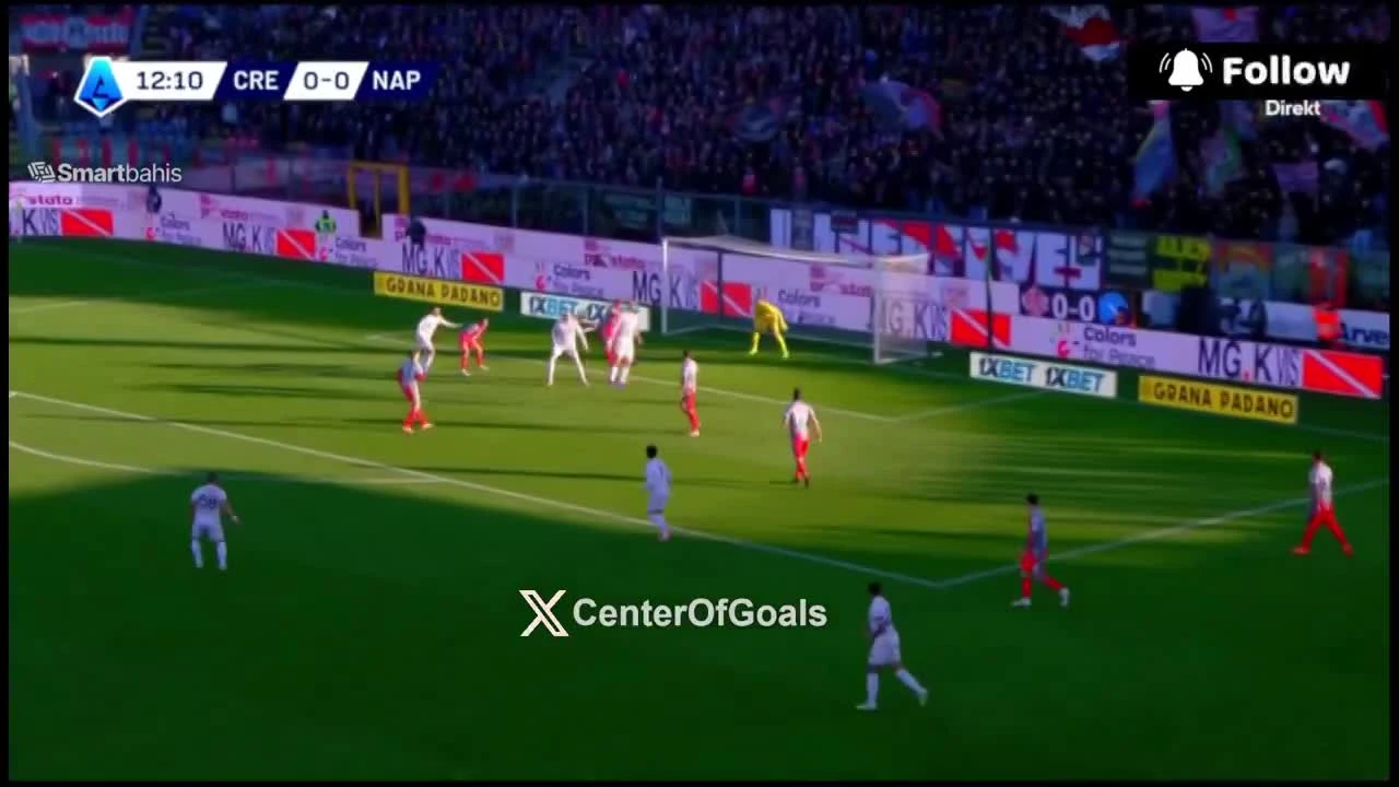 zaslepka skrotu video