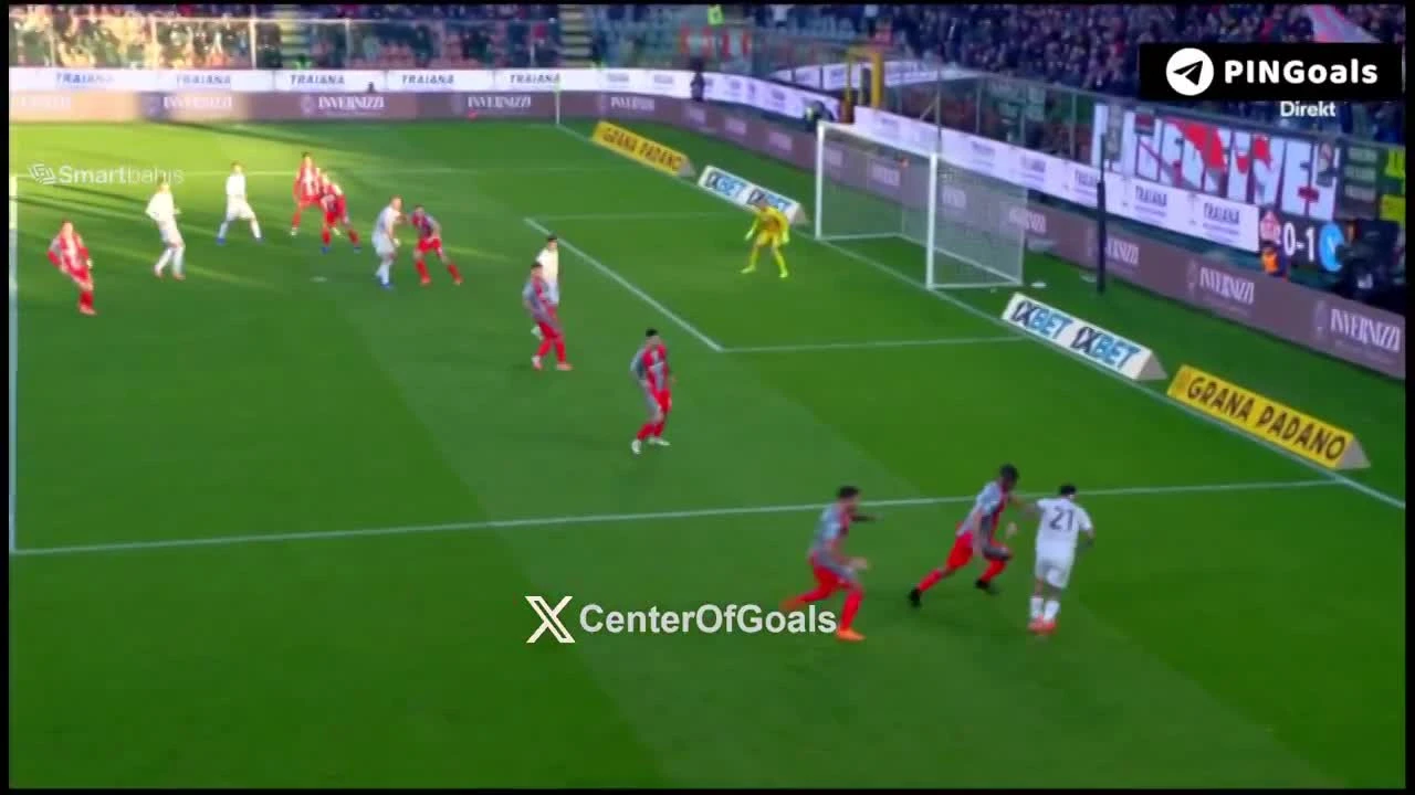 zaslepka skrotu video