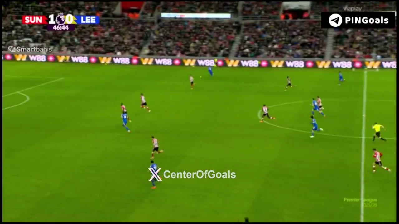 zaslepka skrotu video