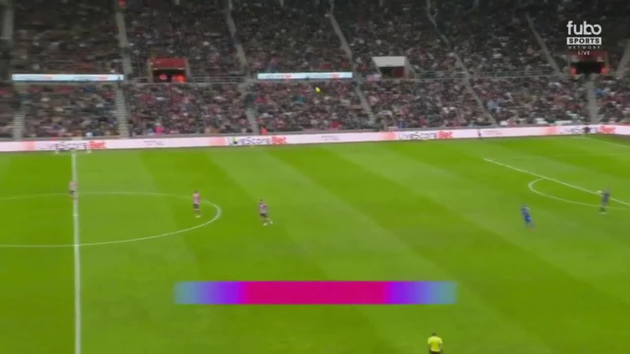 zaslepka skrotu video