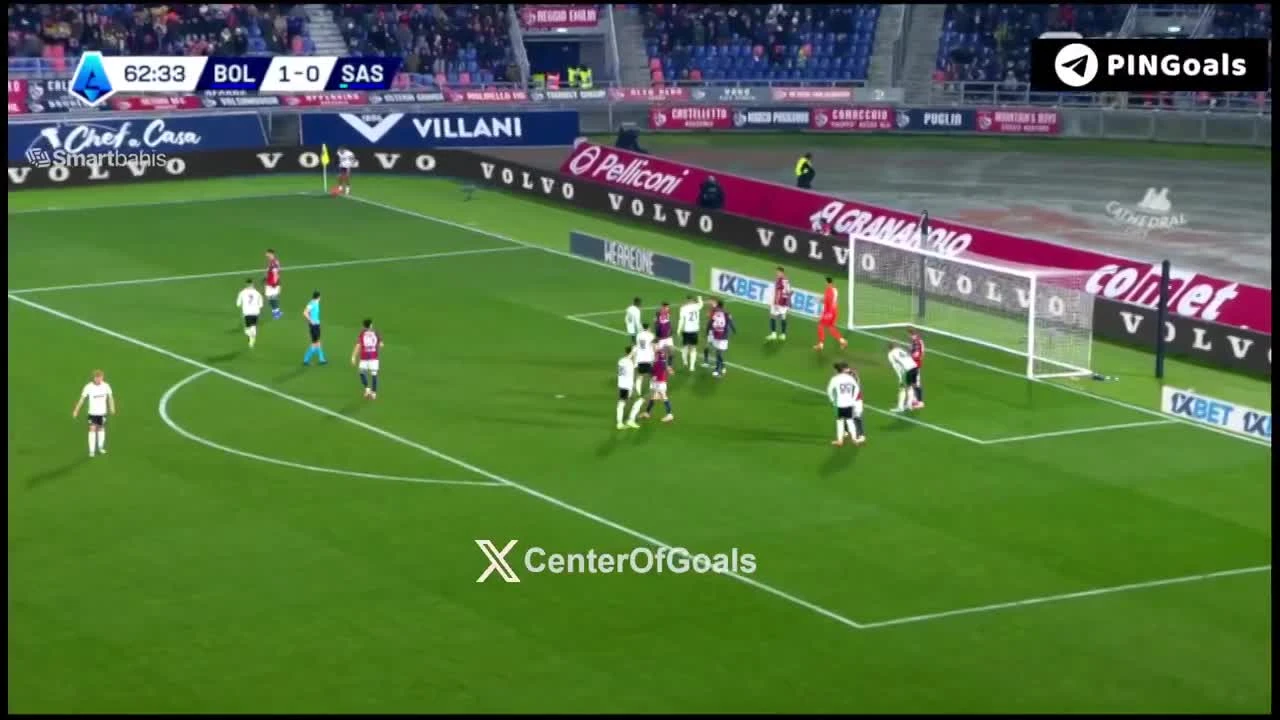 zaslepka skrotu video