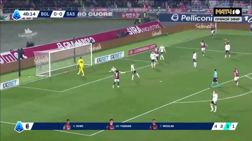 zaslepka skrotu video