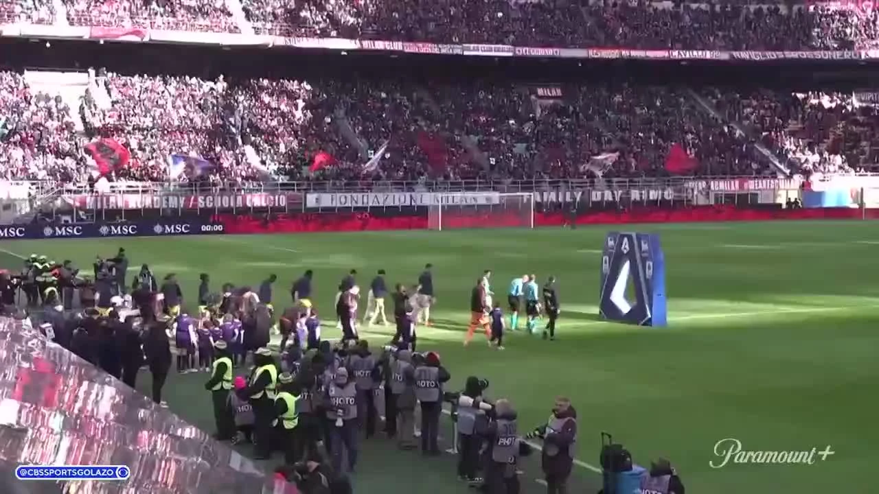 zaslepka skrotu video