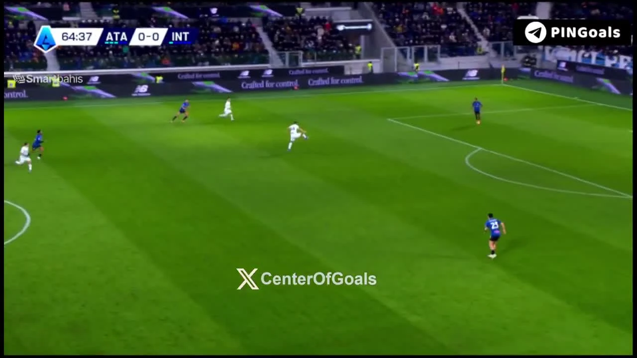 zaslepka skrotu video