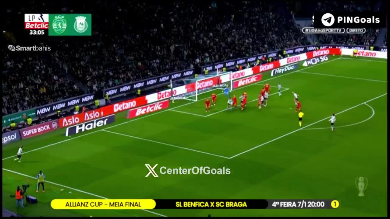 zaslepka skrotu video