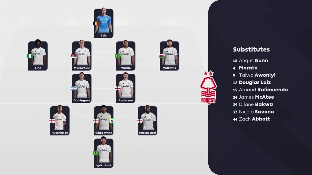 zaslepka skrotu video