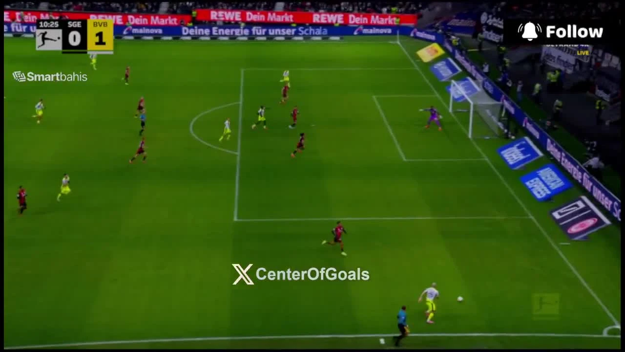 zaslepka skrotu video