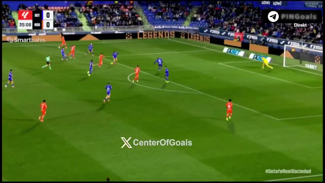 zaslepka skrotu video