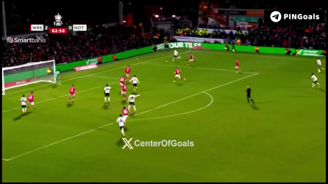 zaslepka skrotu video