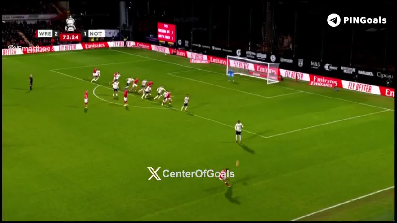 zaslepka skrotu video