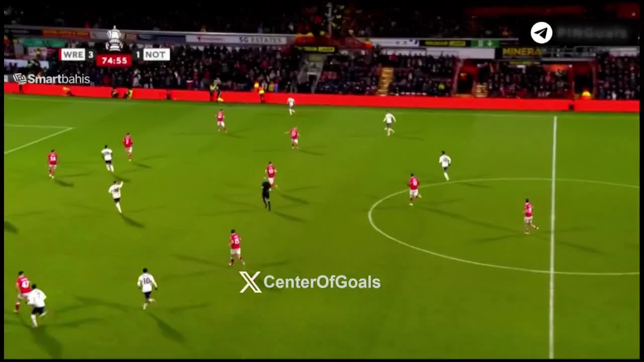 zaslepka skrotu video