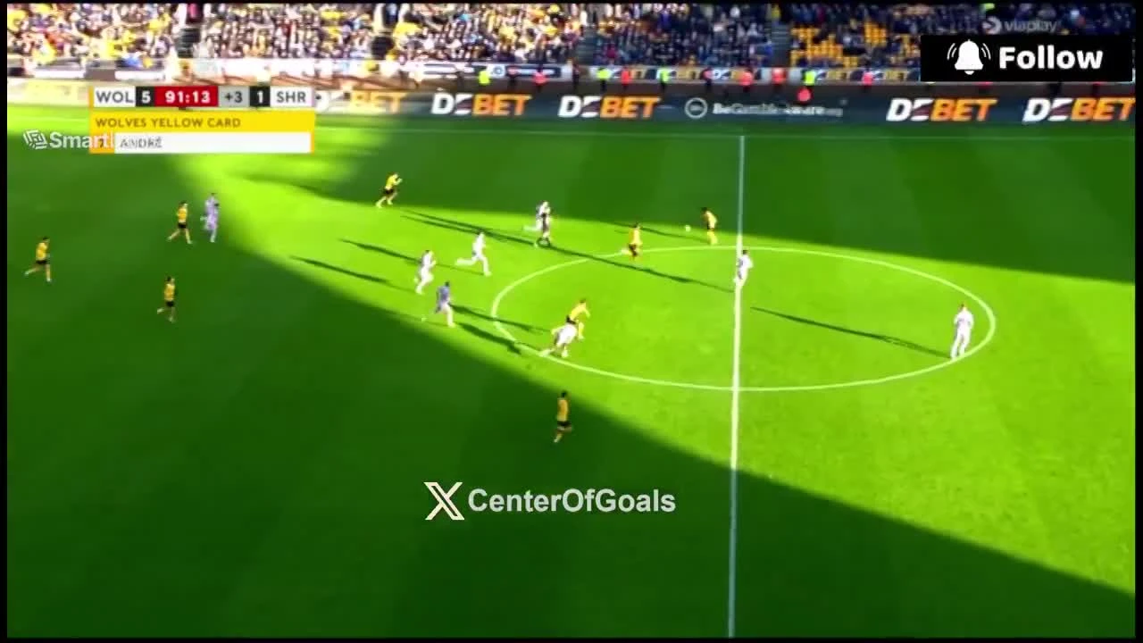 zaslepka skrotu video