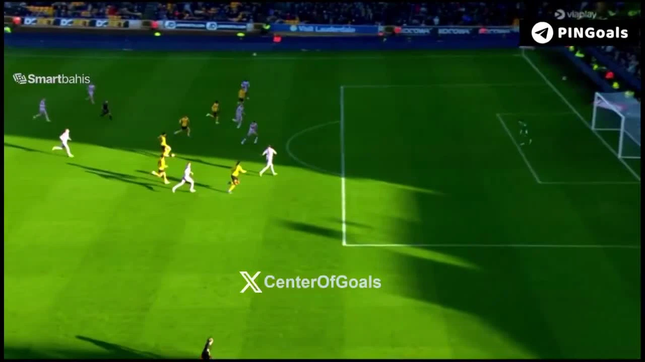 zaslepka skrotu video