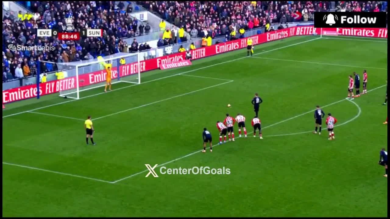 zaslepka skrotu video