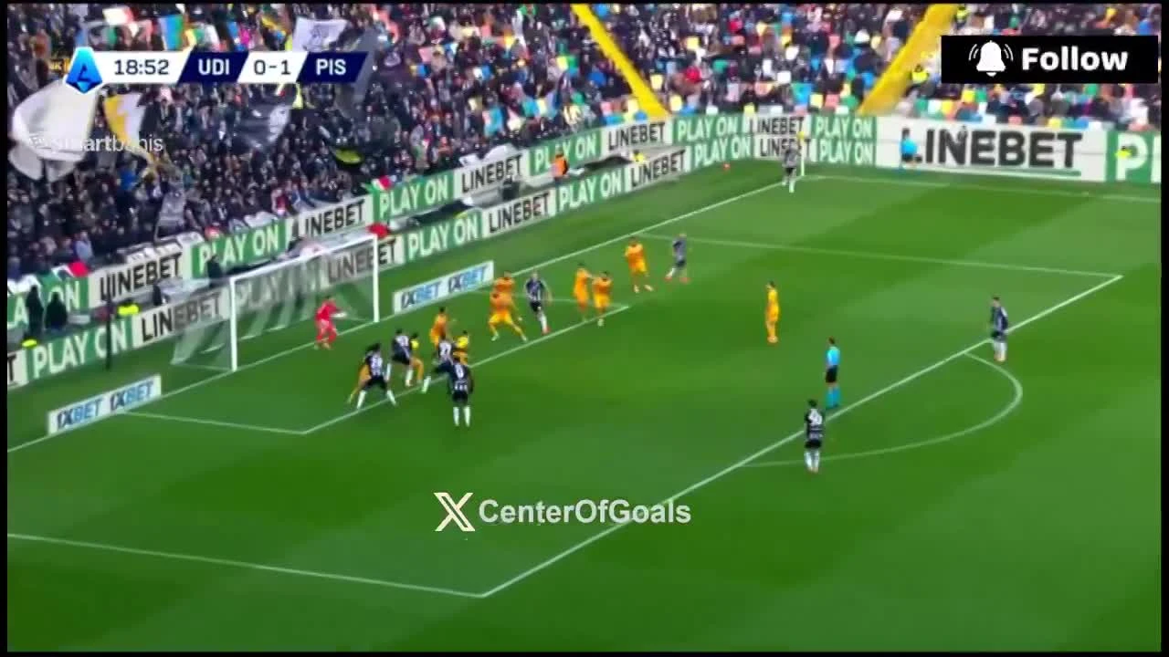 zaslepka skrotu video