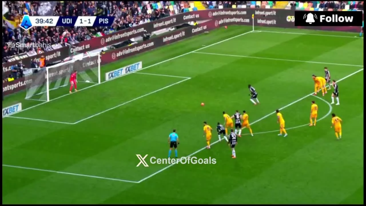 zaslepka skrotu video