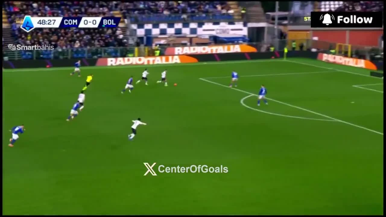 zaslepka skrotu video