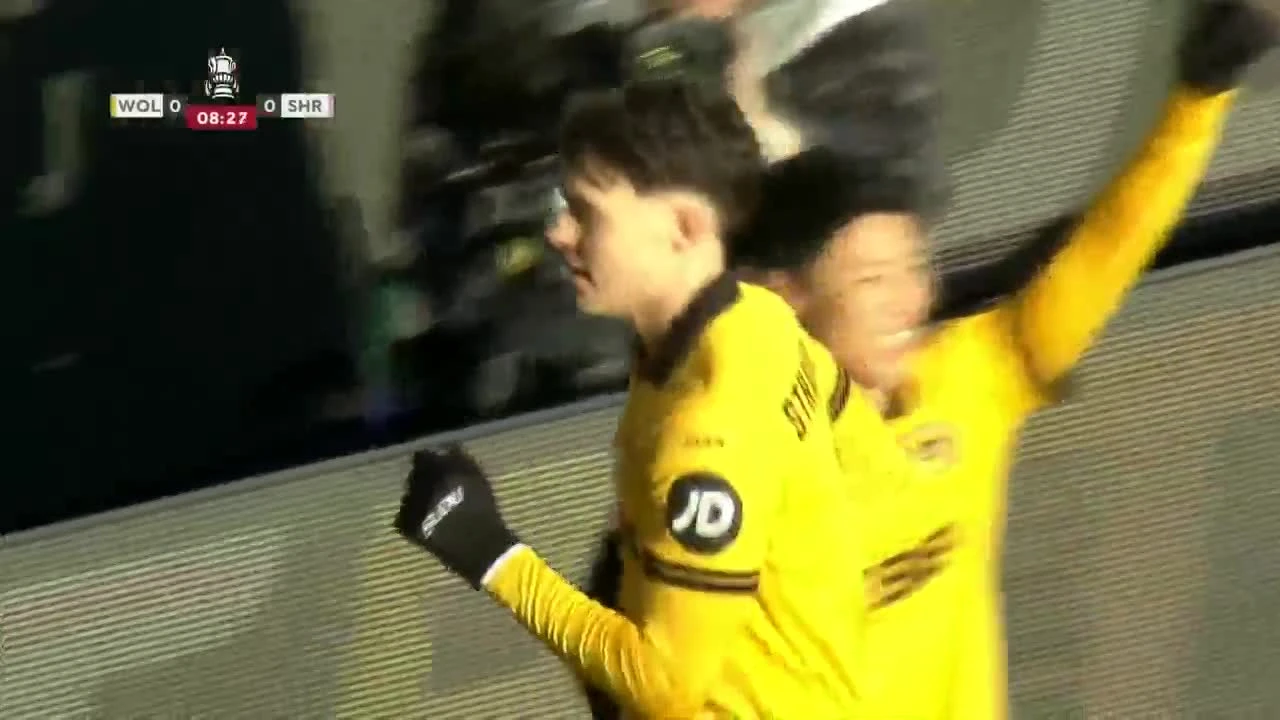 zaslepka skrotu video