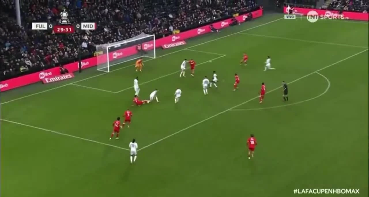 zaslepka skrotu video